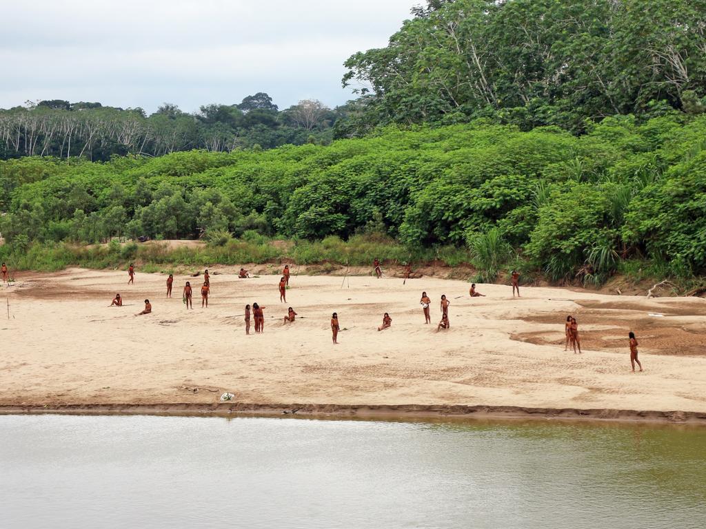 Key Facts about Mashco Piro Tribe
