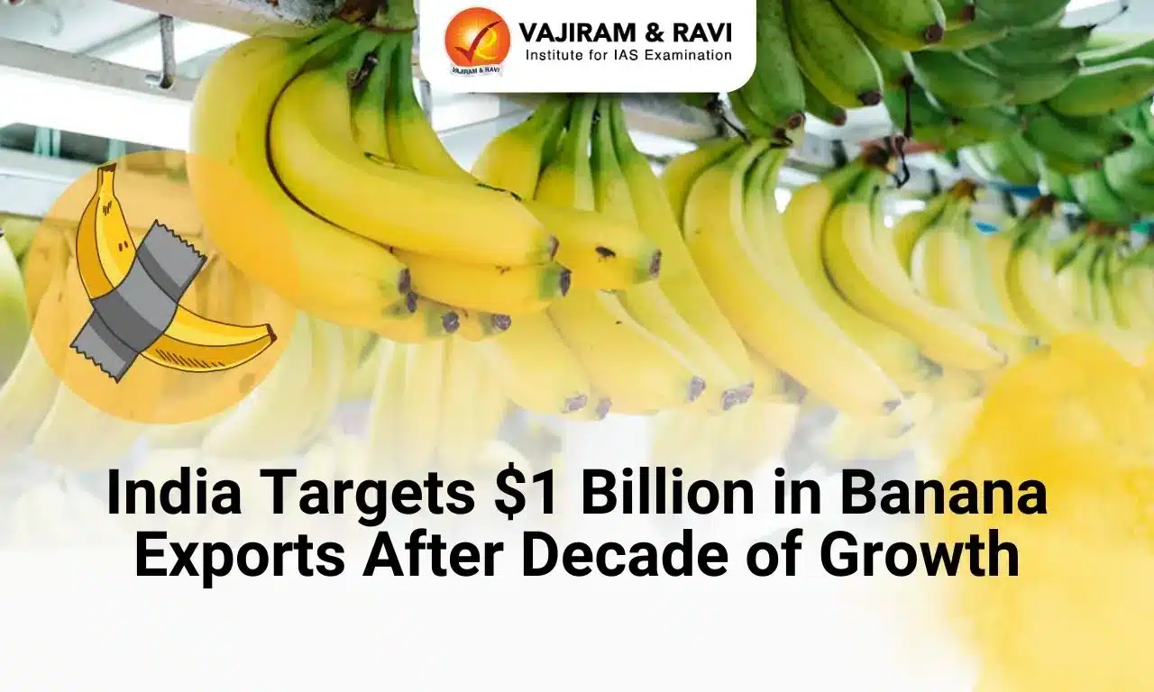 Banana Cultivation