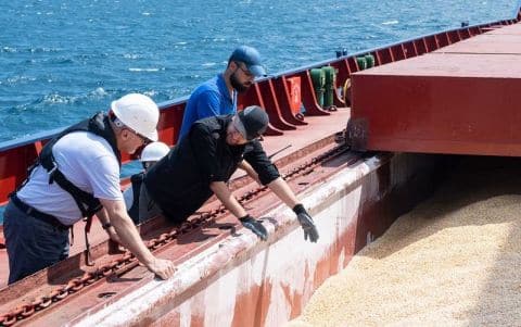 About Black Sea Grain Initiative