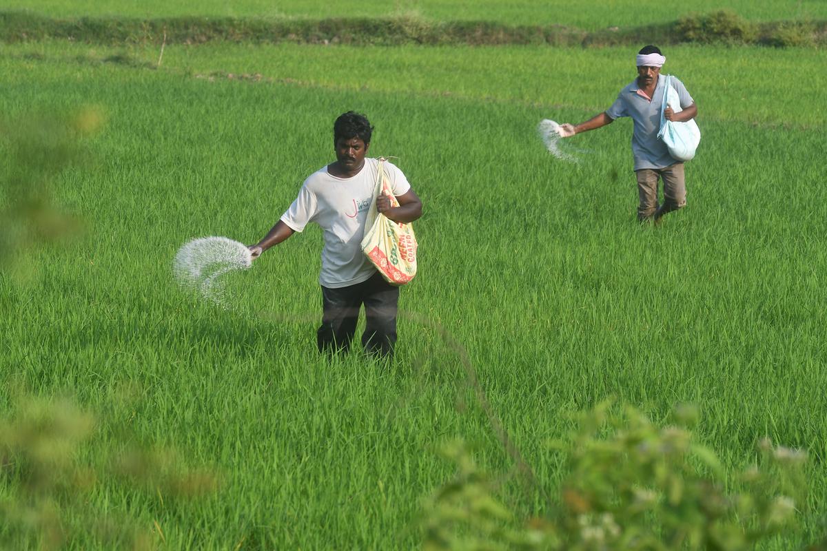 Agriculture Scheme