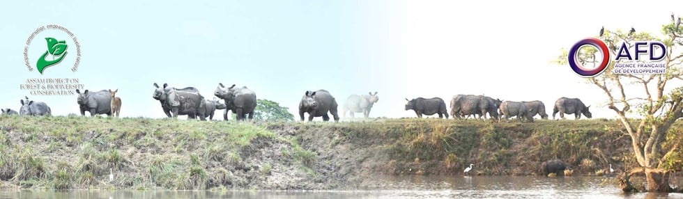 Assam Project on Forest and Biodiversity Conservation