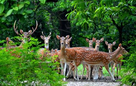 Bibhutibhusan Wildlife Sanctuary
