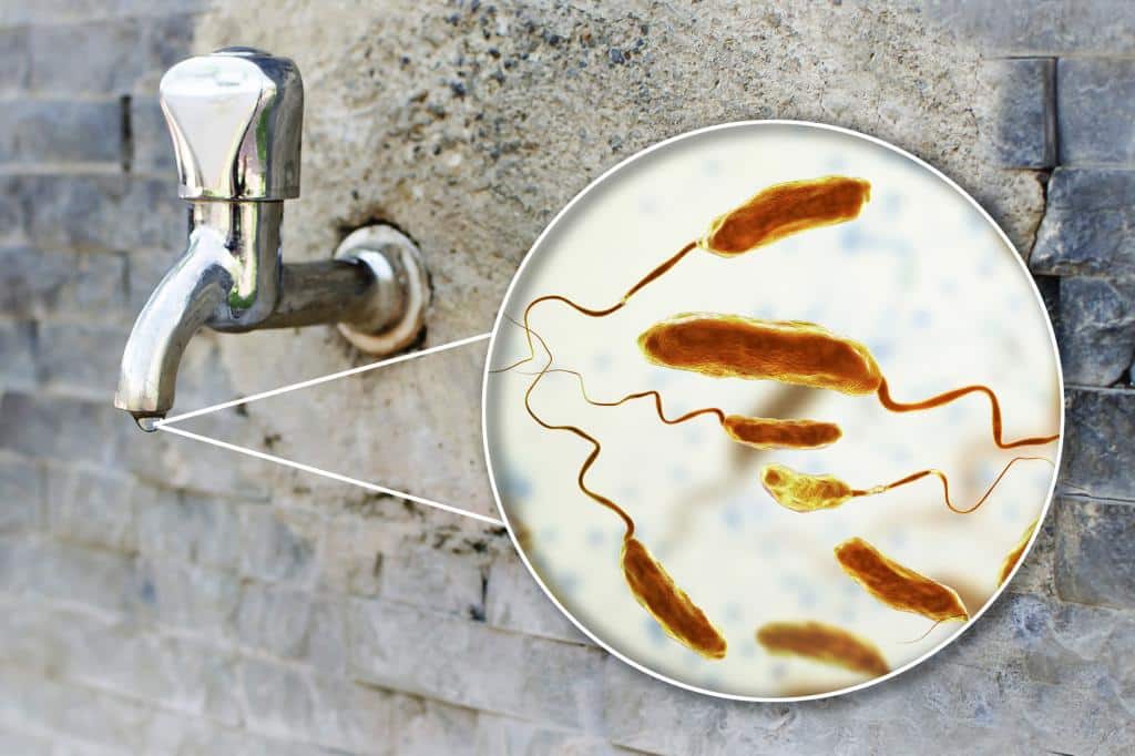 Cholera Disease