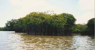 Conservation initiatives in the Budget