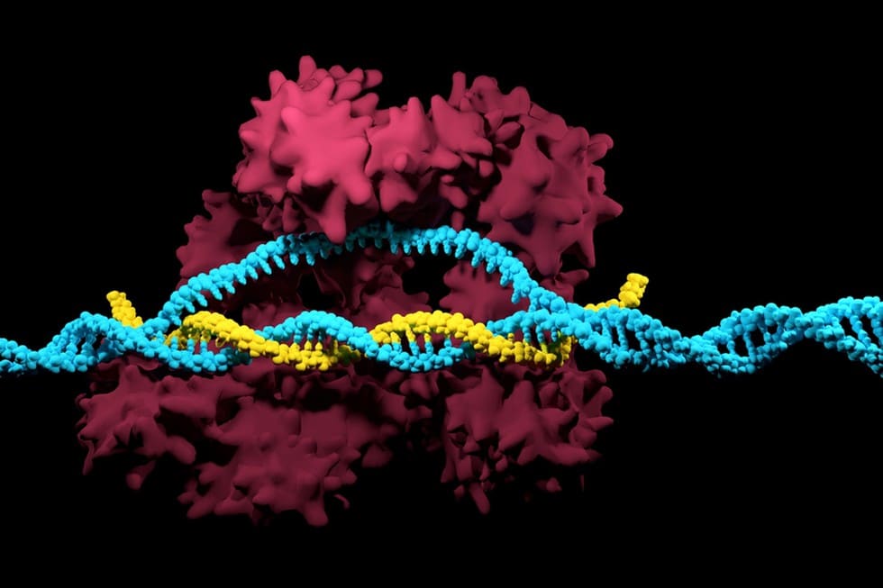 CRISPR