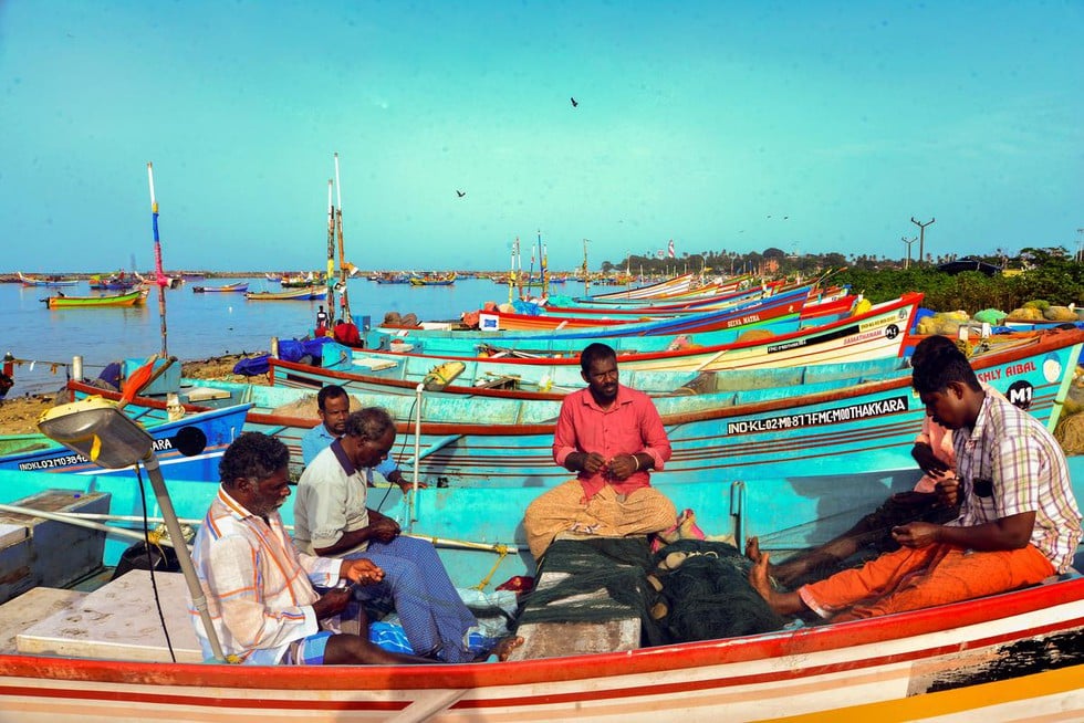 Fish Production
