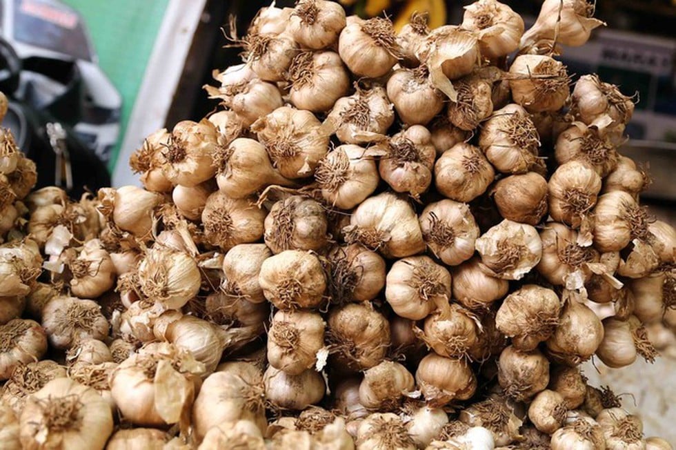 Geographical Indication (GI) Tag