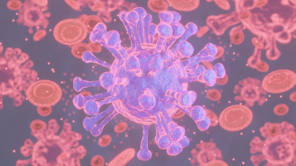 H3N2 influenza