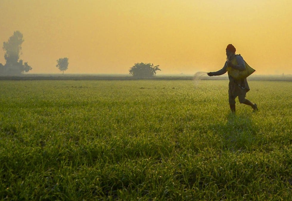 Increase in area under rabi Crops