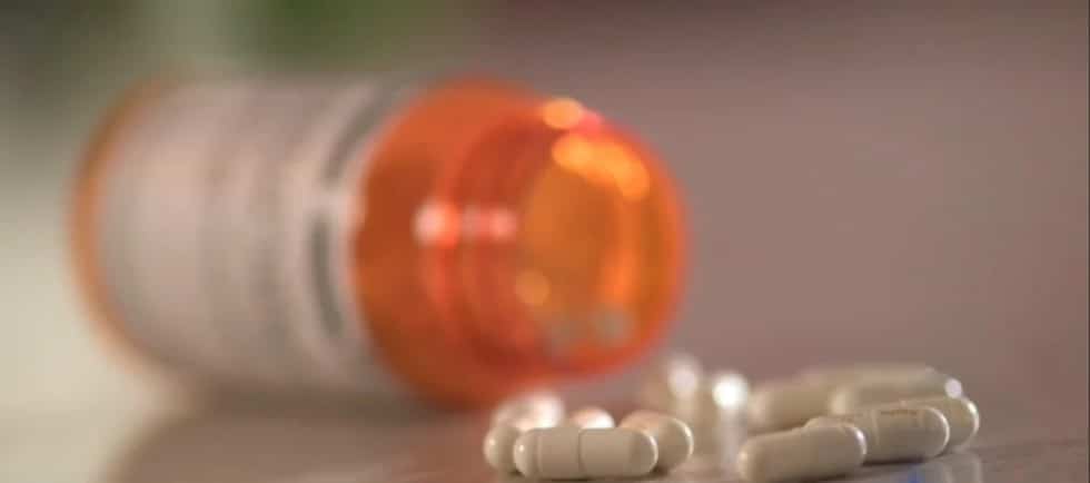 International Forum on ‘Right to Drug-free Childhood’