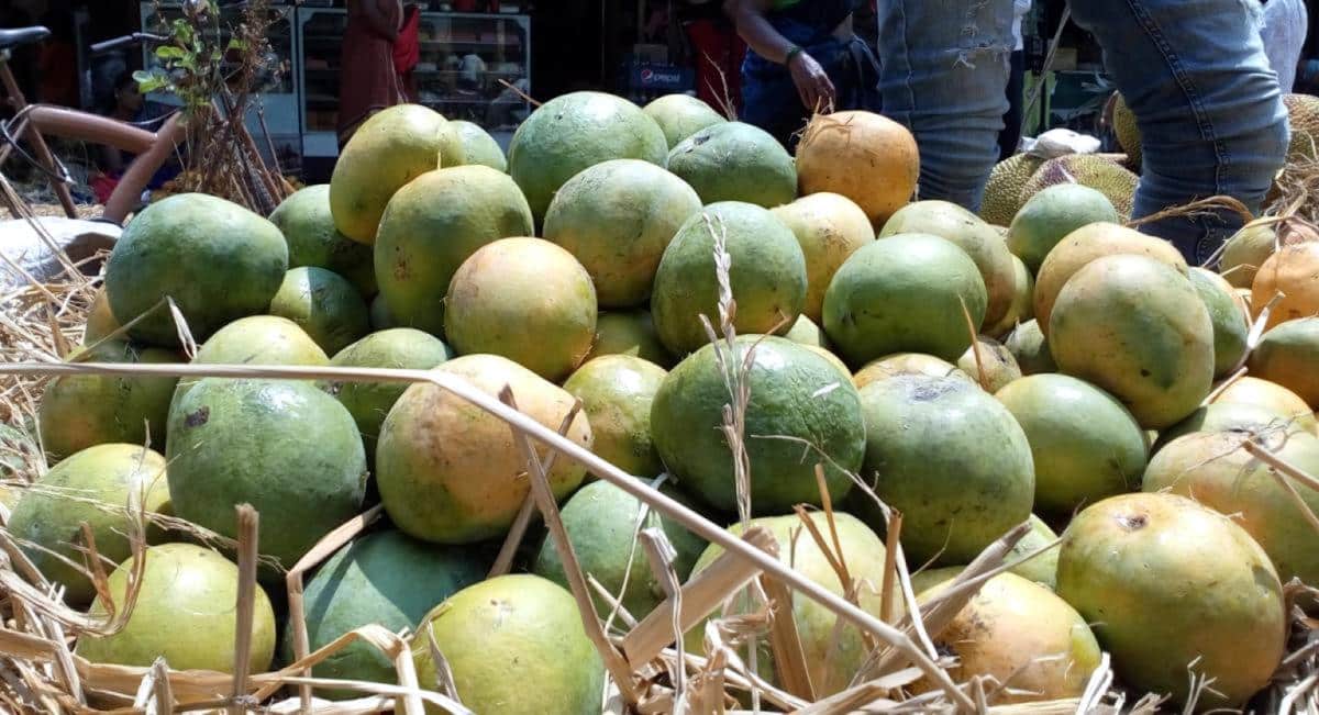 Ishad Mango