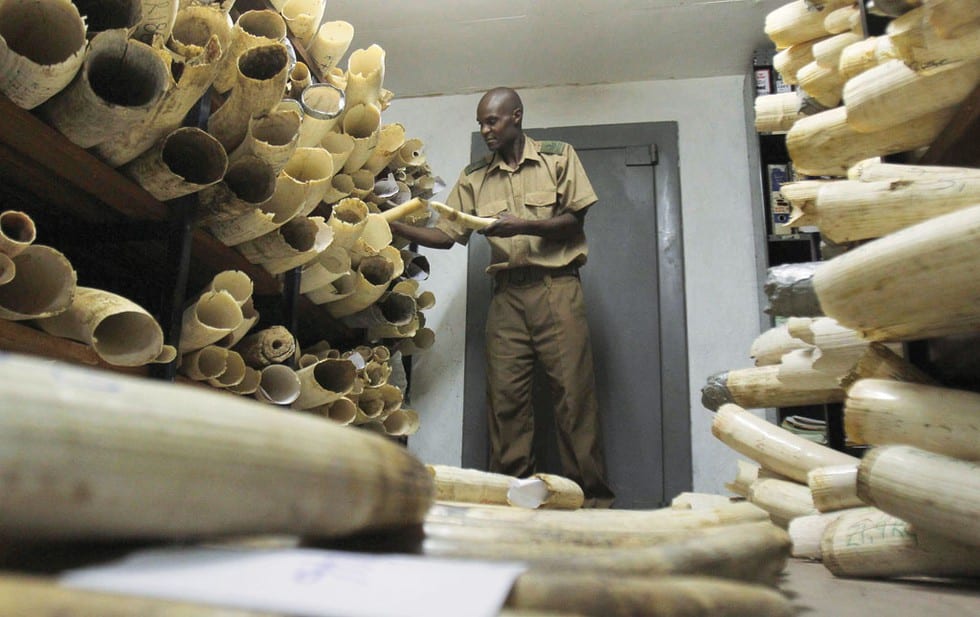 Ivory trade