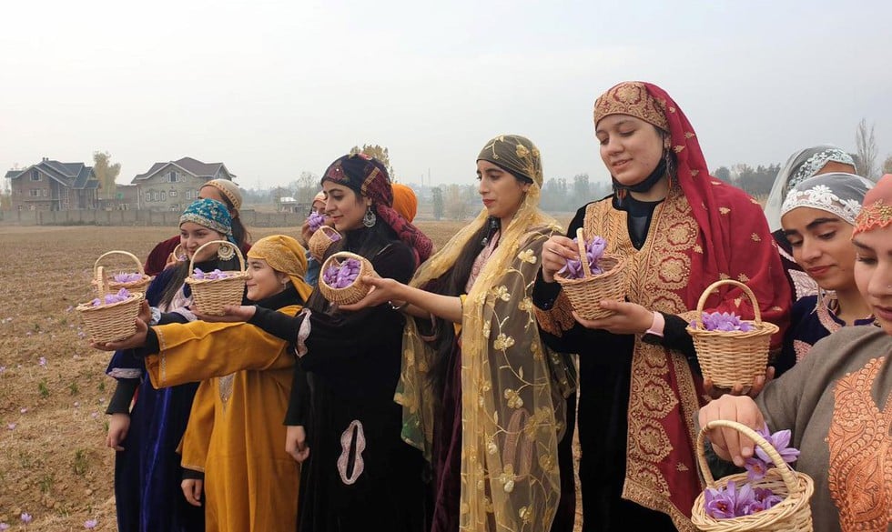 Kashmir Saffron