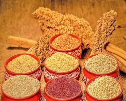 Millets and Shree Anna