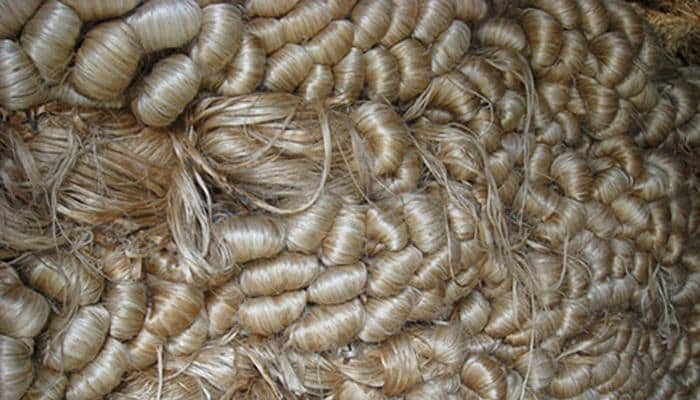MSP for Jute