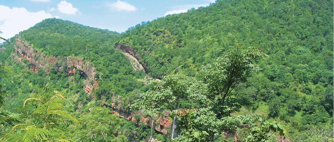 Nallamala Forest