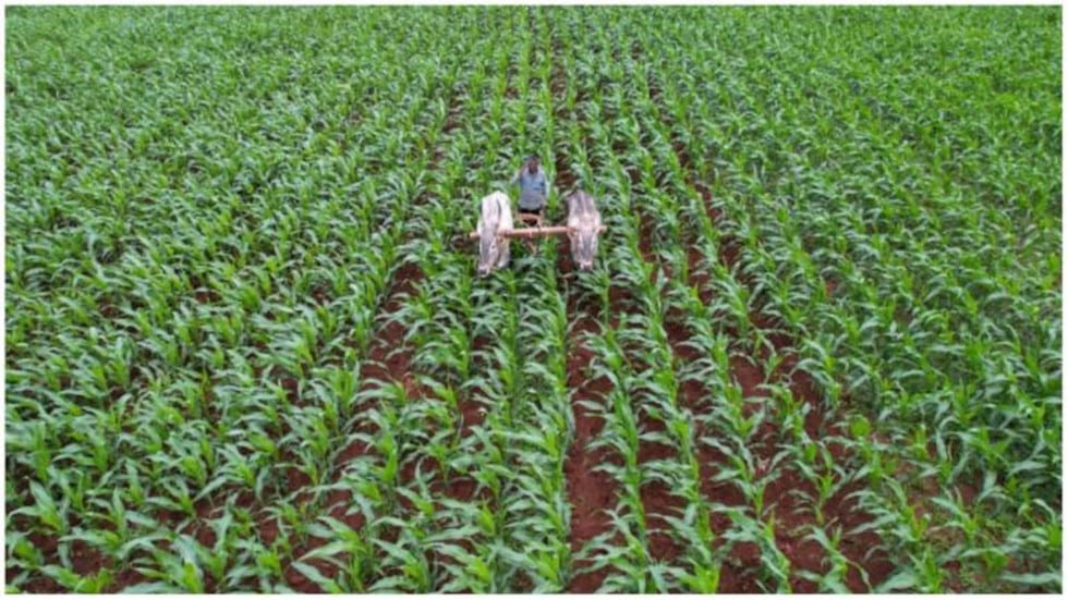 National Farmers Day 2024