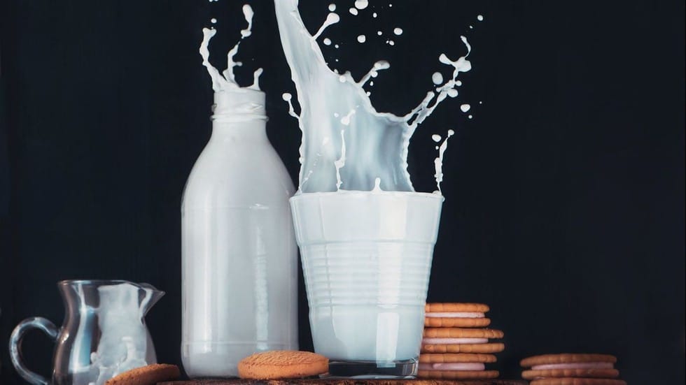 National Milk Day
