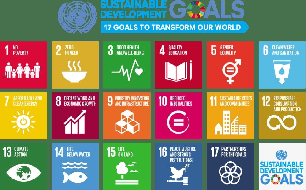 National Workshop on Localization of Sustainable Development Goals (LSDGs) in Gram Panchayats