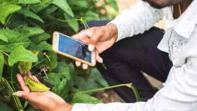People’s Biodiversity Register (PBR)