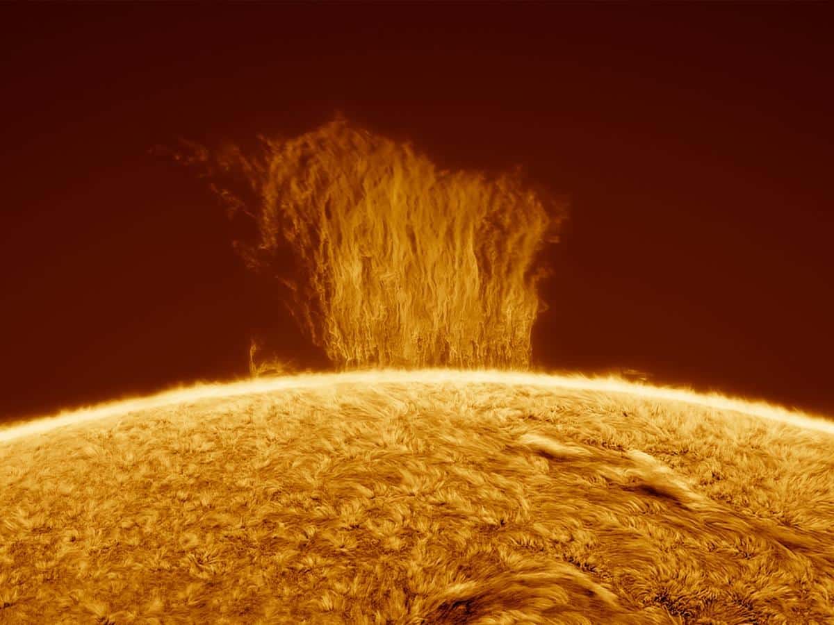 Polar Crown Prominences