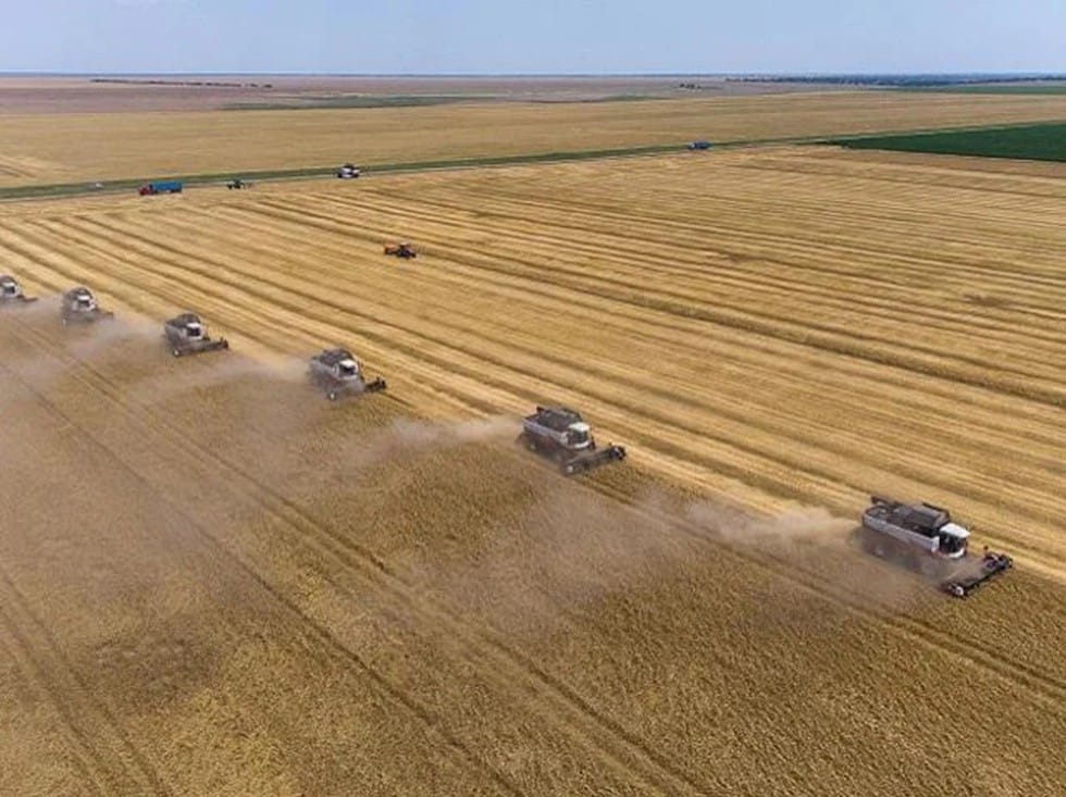 Promotion of Heat-Resistant Variety of Wheat