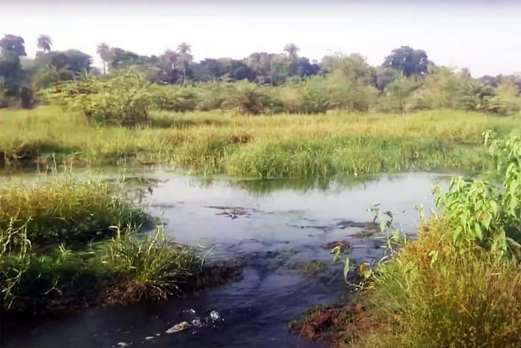 River Kothari