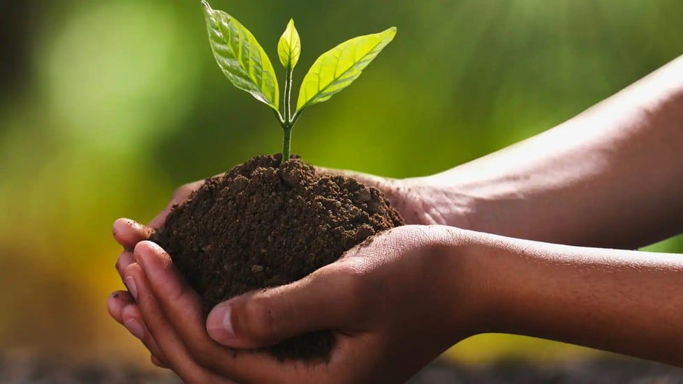 Soil Carbon Stability