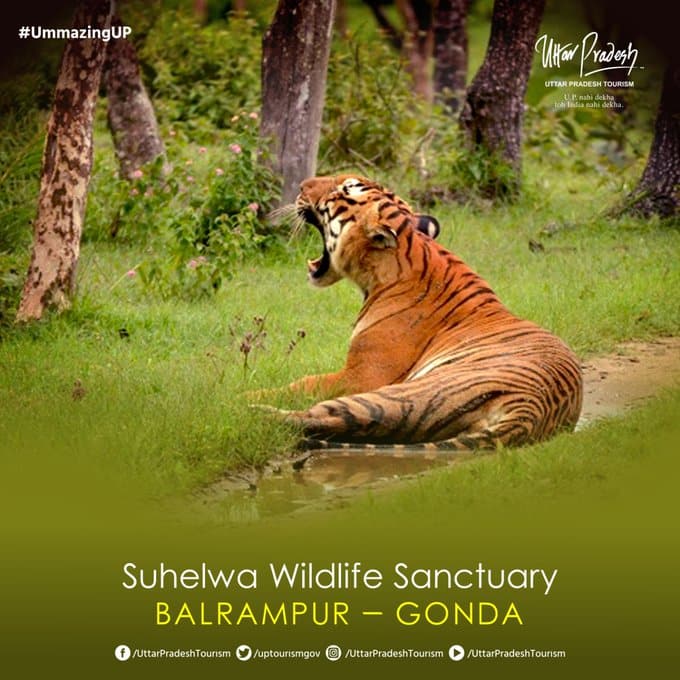 Suhelwa Wildlife Sanctuary (SWS)