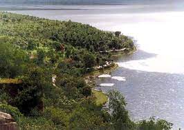 Title Bhoj Wetland