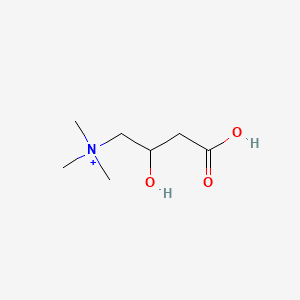 What is Carnitine?