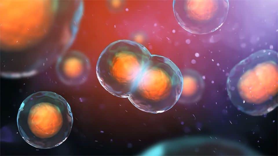 What is Cellular Senescence?