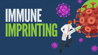 What is Immune Imprinting?