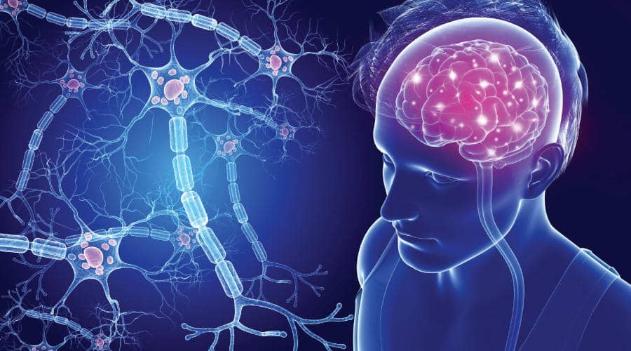 What is Multiple Sclerosis?