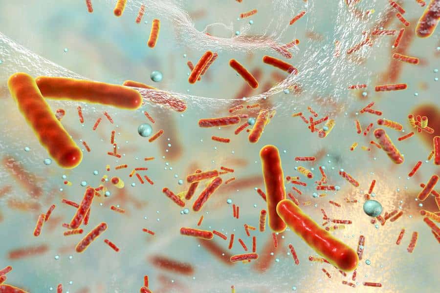 What is Septic Shock?