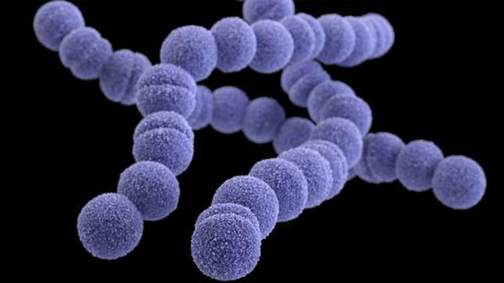 What is Strep A?