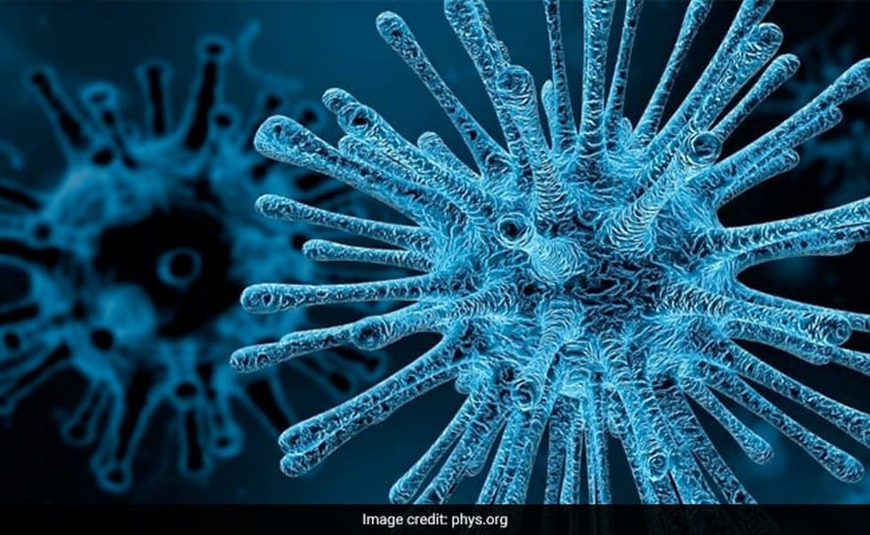What is Virovore?