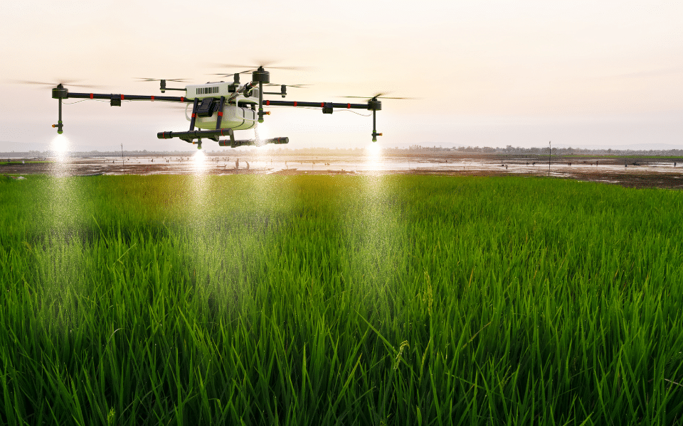 What is AG 365S?