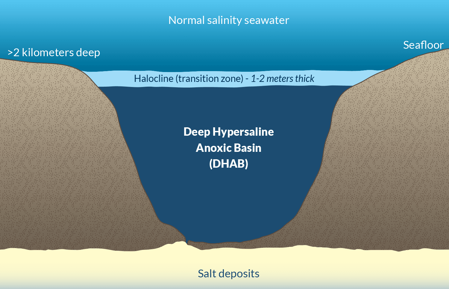 What are Anoxic Marine Basins?