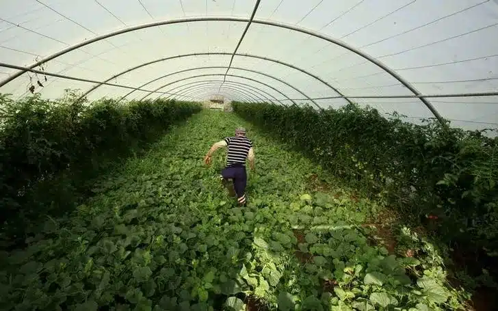 Plant Variety Act