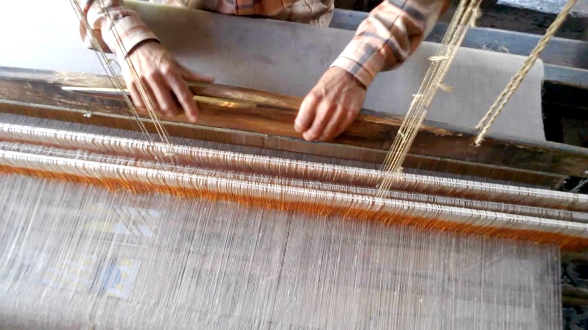 Basohli Pashmina