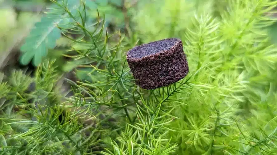 Bio-Derived Foam