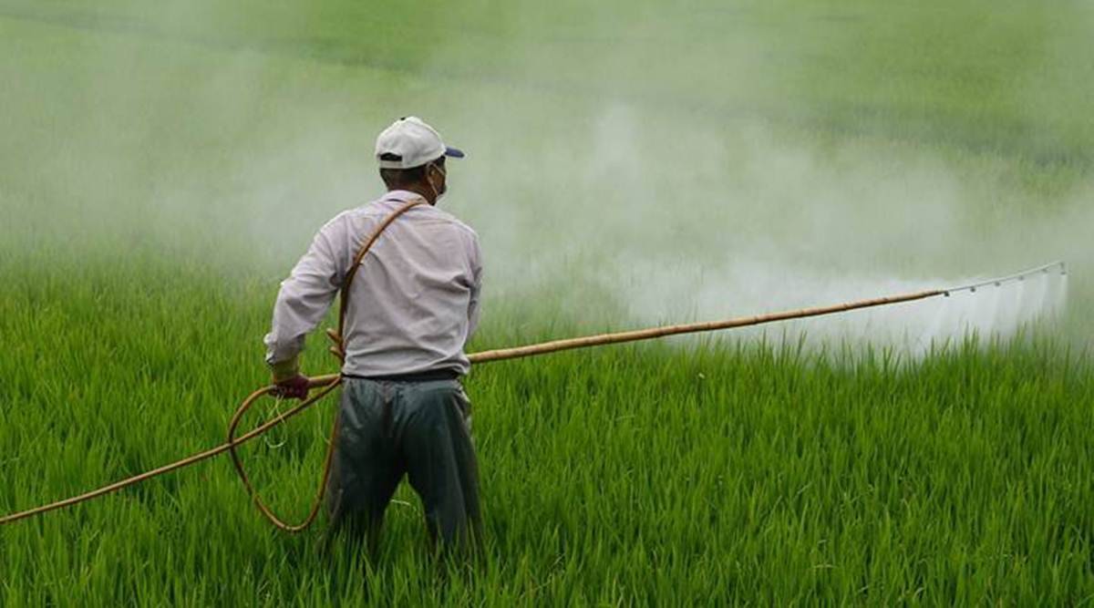 Cabinet Approves Nutrient-based Subsidy for Kharif Season 2023