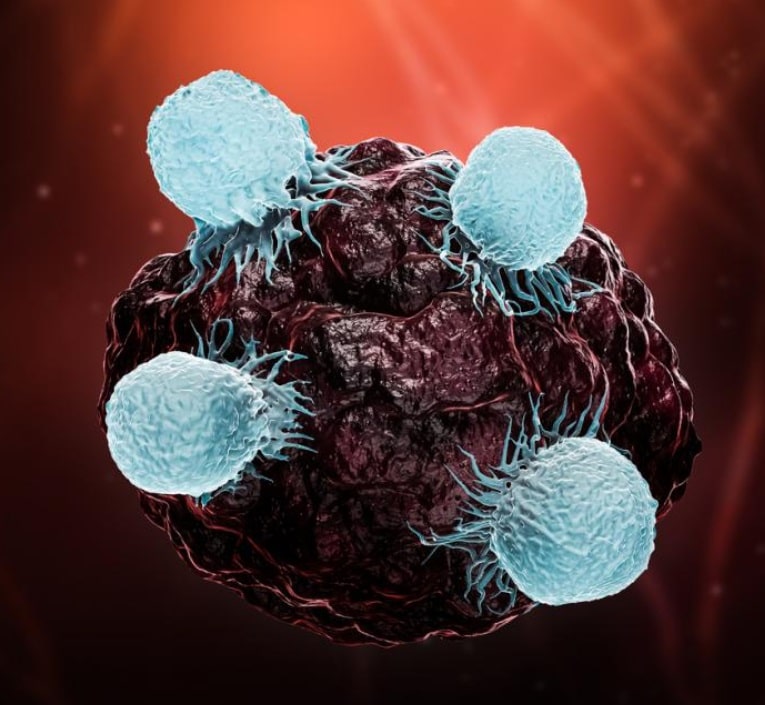 India’s own CAR-T cell therapy