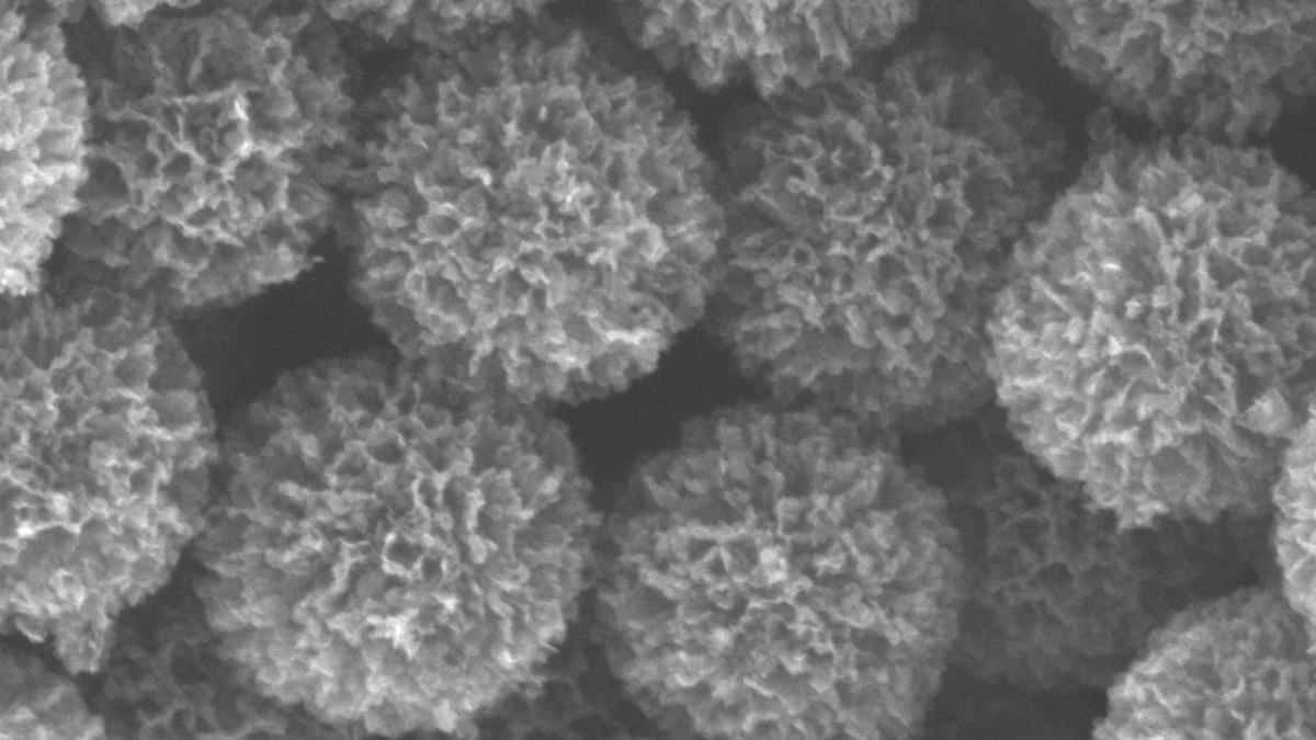 Carbon nanoflorets