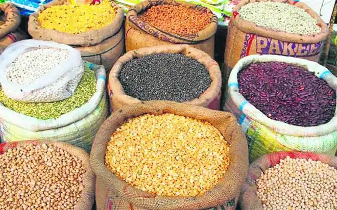 Pulses Cultivation in India