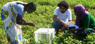 Climate-Smart Farming: ICAR develops wheat that can beat the heat