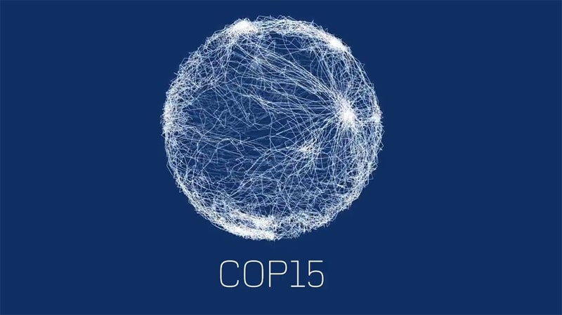 COP15: India defends farm subsidies