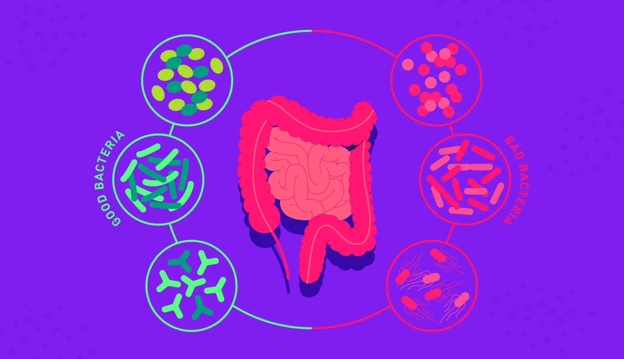 What is Dysbiosis?