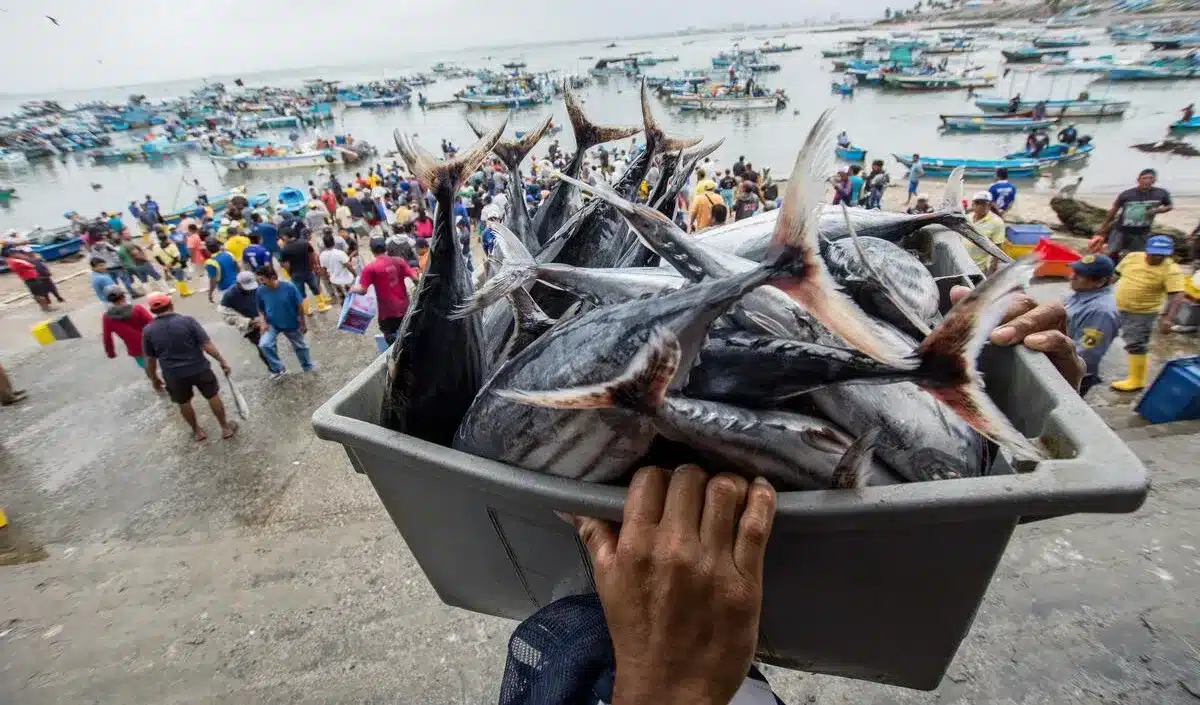 FishMIP Initiative